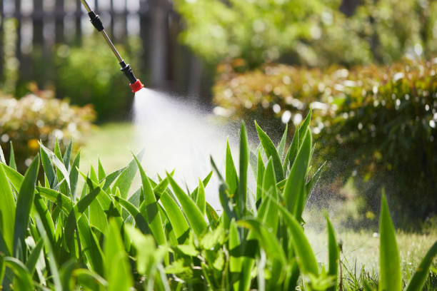Tamper-Resistant Bait Stations for Rodents in Blackwell