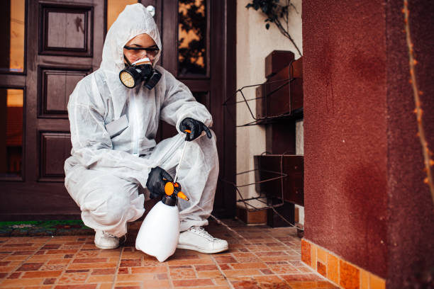 Attic and Crawl Space Rodent Treatment in Blackwell